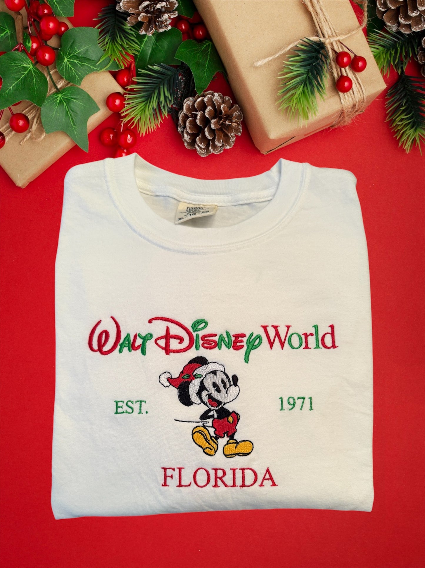 Santa Mickey, Disney World