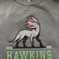 Hawkins